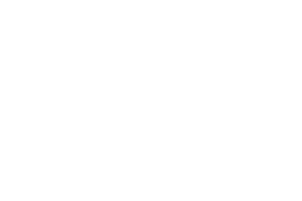 별수 사주 · 타로